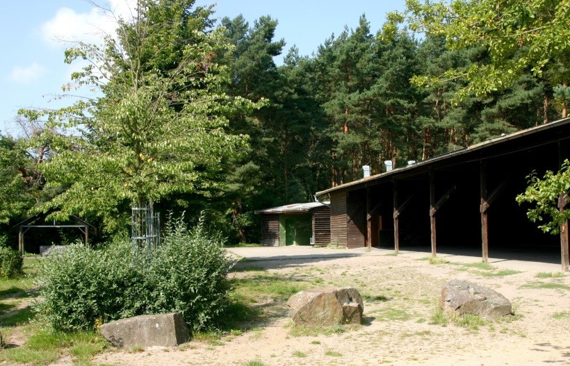 Waldfestplätze